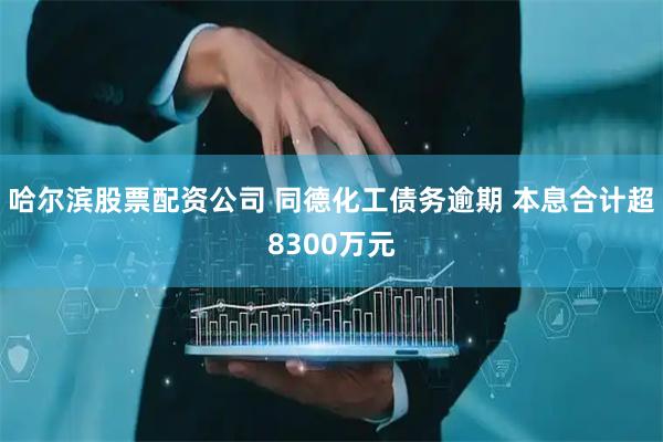 哈尔滨股票配资公司 同德化工债务逾期 本息合计超8300万元