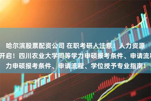 哈尔滨股票配资公司 在职考研人注意!人力资源管理硕士免考入学申请开启!四川农业大学同等学力申硕报考条件、申请流程、学位授予专业指南!
