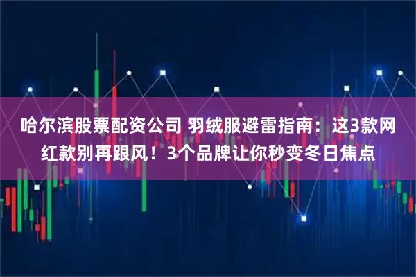 哈尔滨股票配资公司 羽绒服避雷指南:这3款网红款别再跟风!3个品牌让你秒变冬日焦点